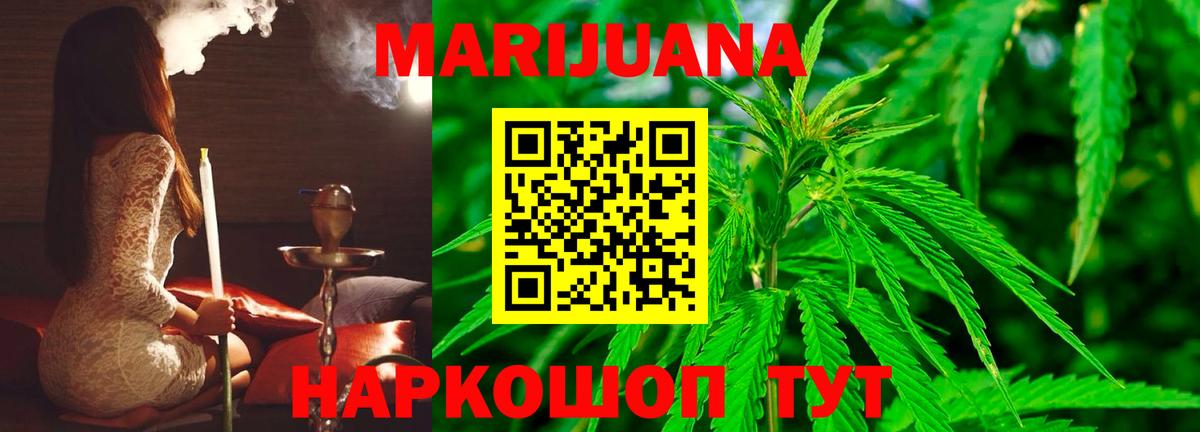 Конопля гибрид Семилуки
